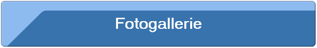 Fotogallerie